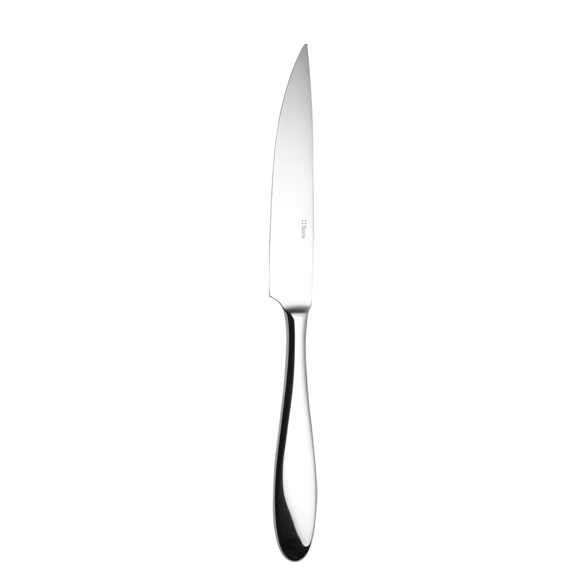 Couteau à steak à manche creux 24,5 cm - Turin