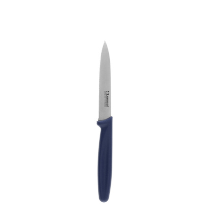Couteau de cuisine 10,2 cm dentelé | Master Blue