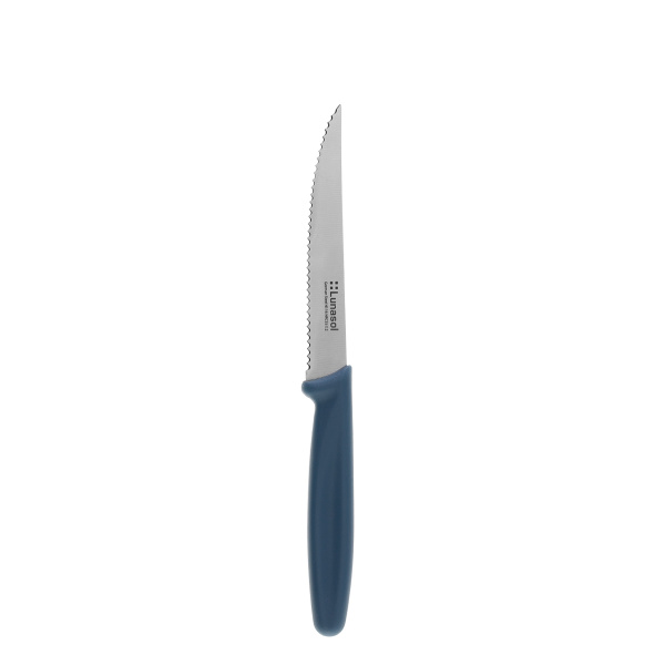 Couteau à steak 11,2 cm | Master Petrol