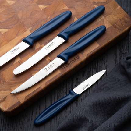 Couteau à steak 11,2 cm | Master Blue