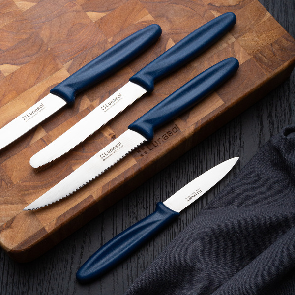 Couteau à steak 11,2 cm | Master Blue