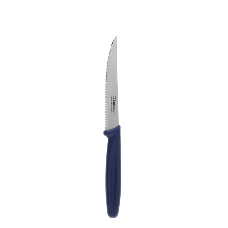 Couteau à steak 11,2 cm | Master Blue