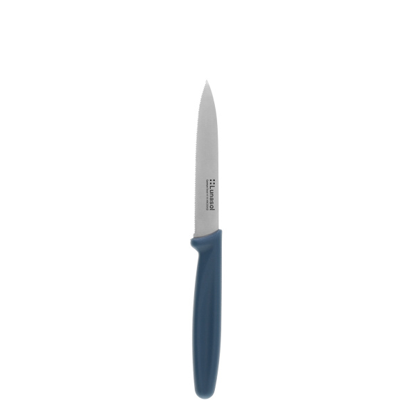 Couteau de cuisine 10,2 cm dentelé | Master Petrol