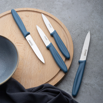 Couteau de cuisine 10,2 cm sans dents | Master Petrol